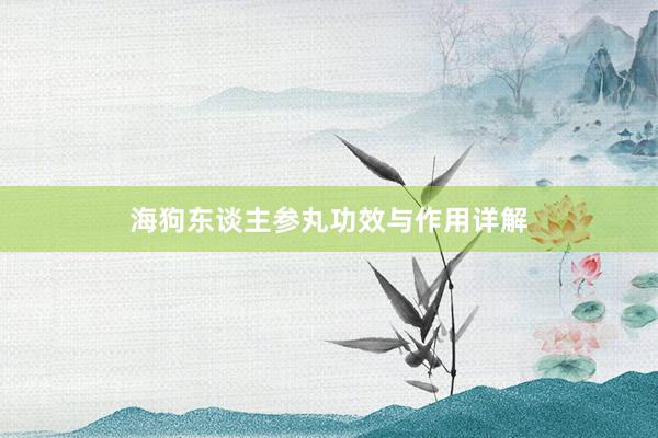 海狗东谈主参丸功效与作用详解